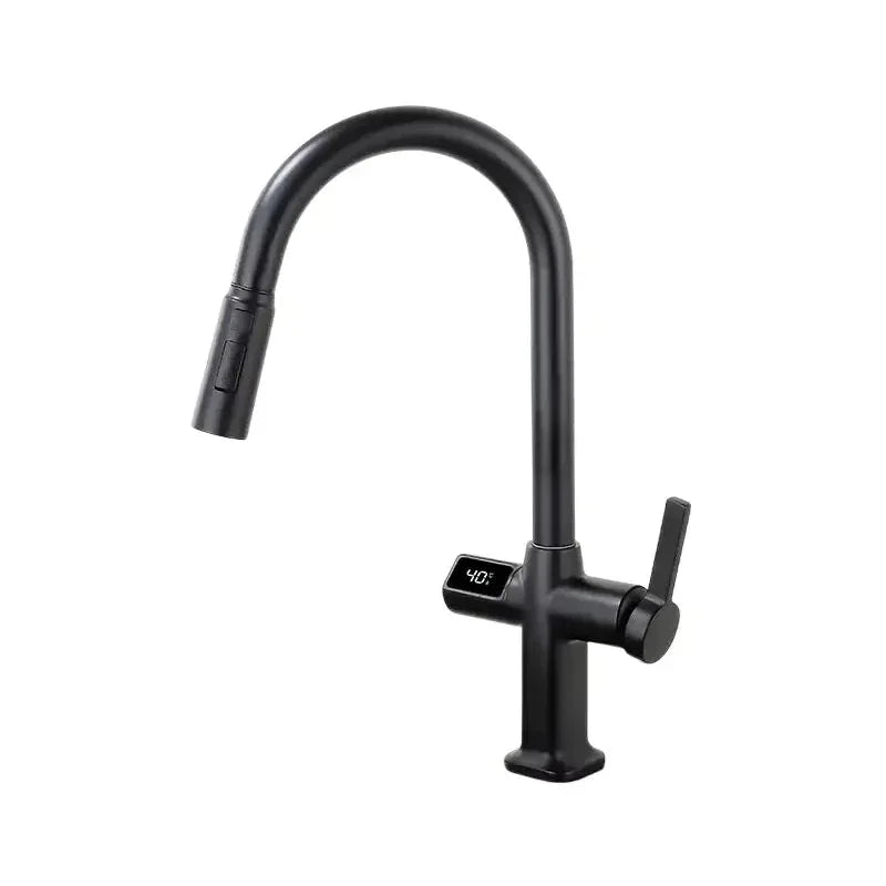 Robinet Thermostatique Cuisine | Fort