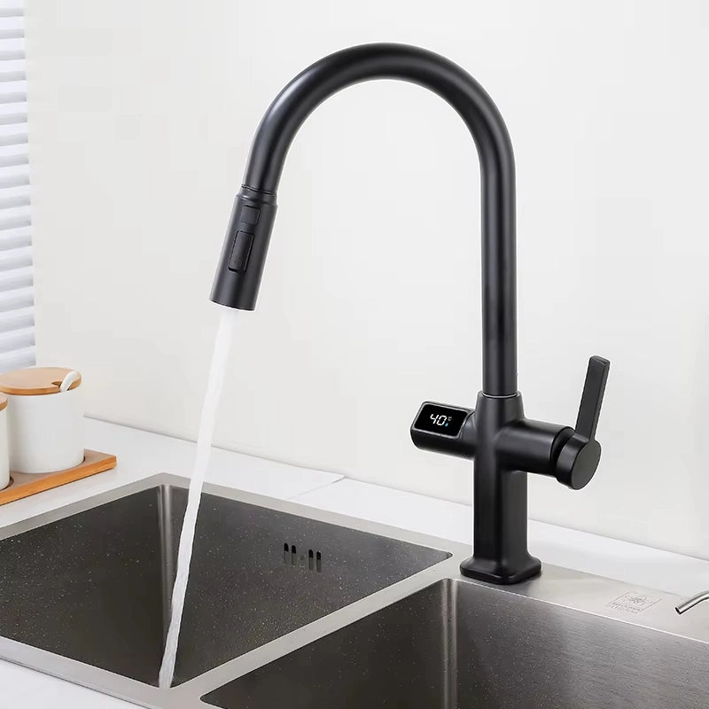 Robinet Thermostatique Cuisine | Fort